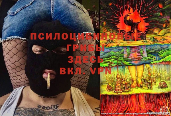 прущая мука Горно-Алтайск