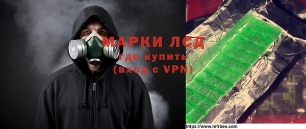 ГАЛЛЮЦИНОГЕННЫЕ ГРИБЫ Вяземский