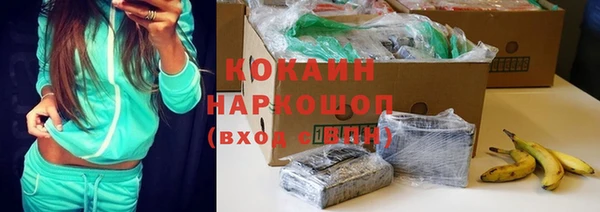 ГАЛЛЮЦИНОГЕННЫЕ ГРИБЫ Вяземский