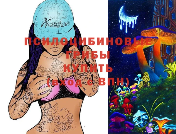 гидропоника Горнозаводск
